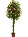 Розовое дерево Квин